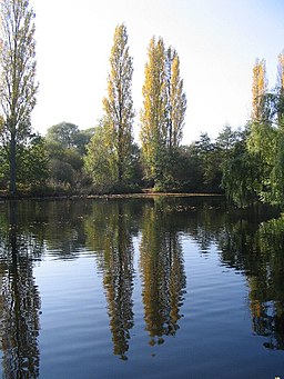 Goose Pool, Brandon Marsh - geograph.org.uk - 592376