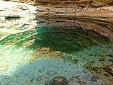 Blick auf und unter die Wasseroberfläche in der Doline