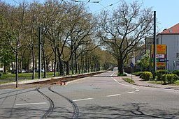 Heideallee in Halle (Saale)