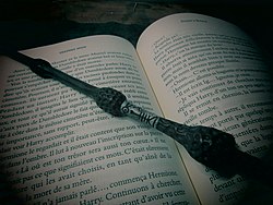 Harry Potter Book and Wand.jpg