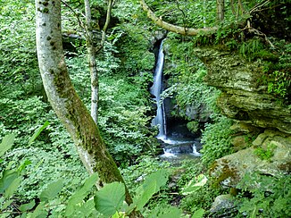 ein Wasserfall am Harter Bach, südwestlich von Sörg