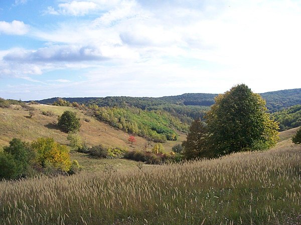 Hills in Baranya County, Hungary