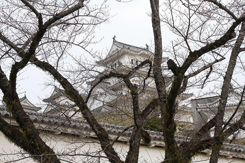 File:Himeji château ramures.jpg