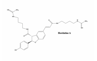 <span class="mw-page-title-main">Hordatine A</span> Chemical compound; biosynthesis of hordatine A