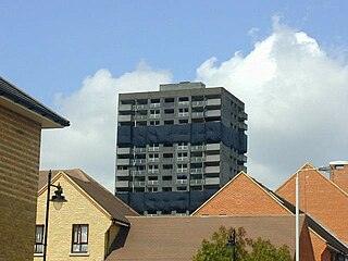 <span class="mw-page-title-main">Cathall</span> Housing estate in Leytonstone, London