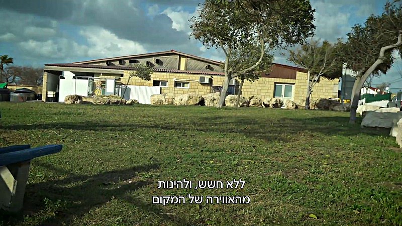 File:IDF Corona patients facility, Ashkelon. XXII.jpg