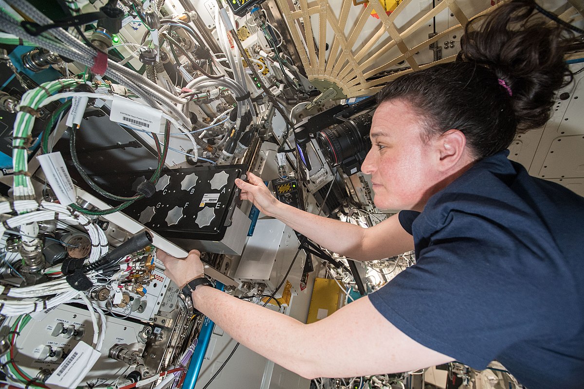 TANGOLAB-1 МКС. Life Sciences in Space research. Life Sciences in Space research журнал картинки.