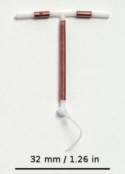 IUD with scale.jpg