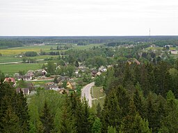 Småköpingen Iisaku set fra udsigtstårnet på Tærivere-bjerget.