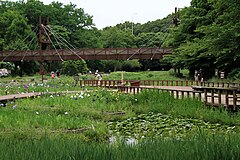 Izuminomori Parkı 01.jpg