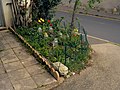 * Nomination: Street corner garden in en:Saint-Étienne, France. --Touam 13:16, 5 May 2023 (UTC) * * Review needed