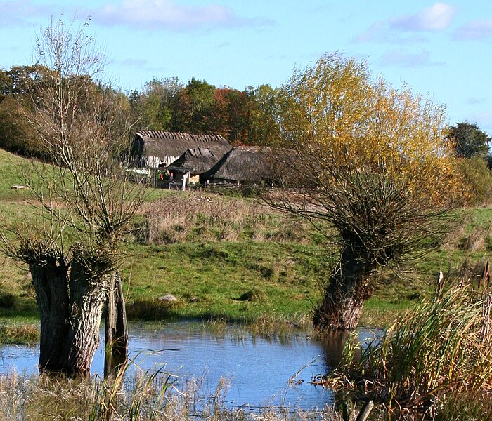 File:Jernalderlandsbyen i Lejre Forsøgscenter.jpg