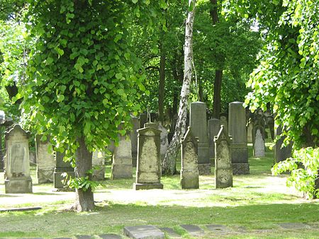 Juedischer Friedhof Hamburg Bornkampsweg