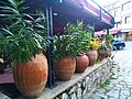 File:Jugs on the streets of Ohrid, Macedonia, 10 2022.jpg