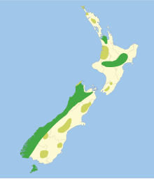 Historic extension del kākāpō (verde: 1840; gris: fossile).