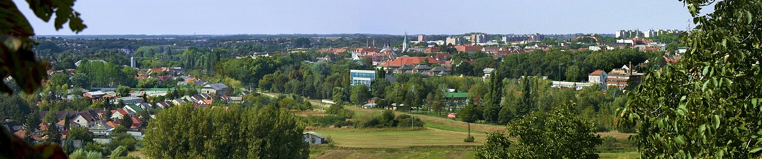 Panorama Kapošvara