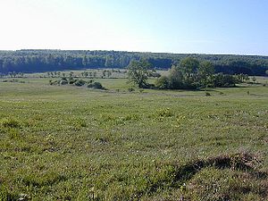 View over the Kerstlingeröder field to the Göttingen city forest