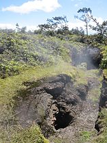 Steam plumes along the Halema'uma'u Crater rim