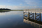 Vignette pour Lac Tohopekaliga