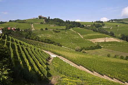 Langhe hills, Piedmont