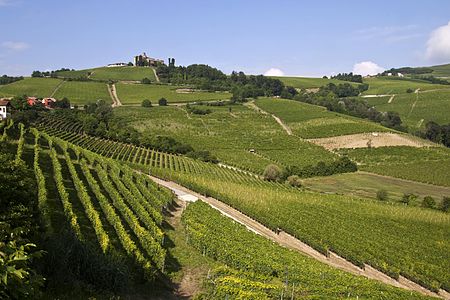 Cảnh_quan_văn_hóa_các_vườn_nho_của_vùng_Piedmont:_Langhe-Roero_và_Monferrato