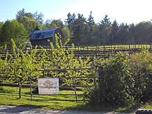 Vista D'oro winery in South Langley