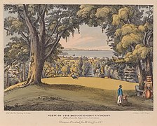 "Näkymä kasvitieteelliseen puutarhaan St Vincentissä", Glasgow: Richard Griffin & Company, 1825