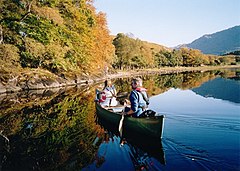 Loch Shiel a Dalelia - geograph.org.uk - 85335.jpg