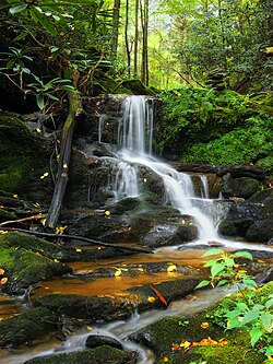 Oakland Run Wasserfälle vom Mason-Dixon Trail aus gesehen