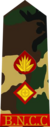 Lt. Colonel