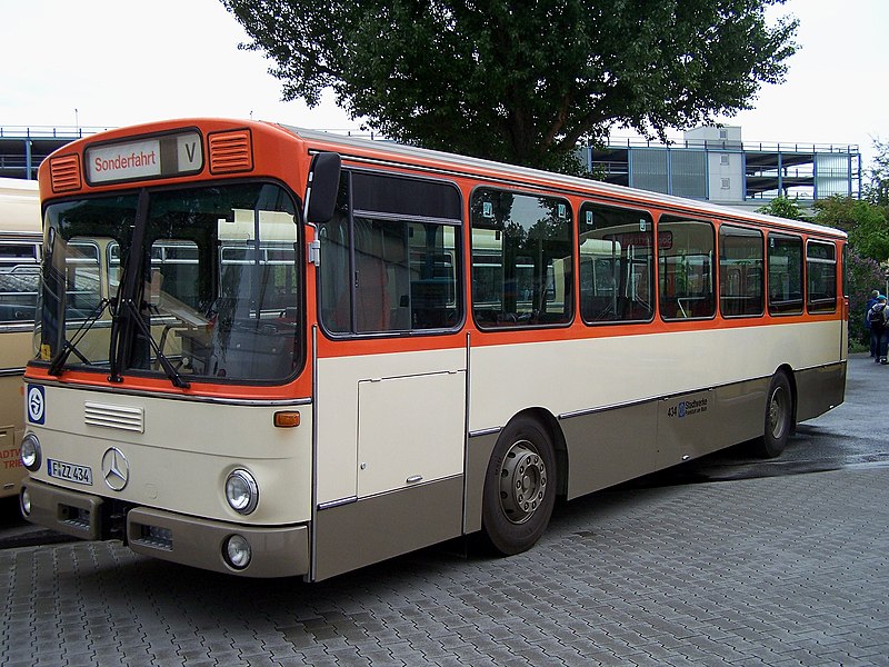 File:MB O305 Rebstock 09052009.JPG