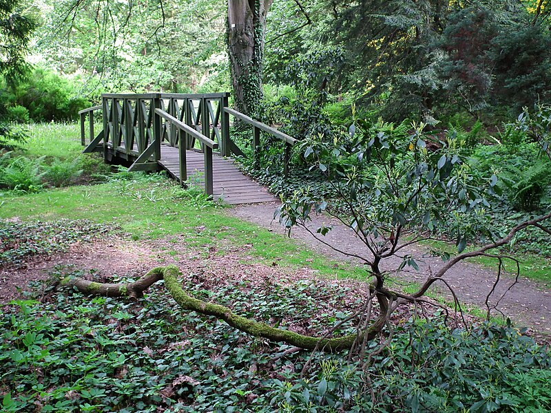 File:MOs810 WG 29 2017 Opolskie Zakamarki (in Arboretum Lipno) (bridge).jpg