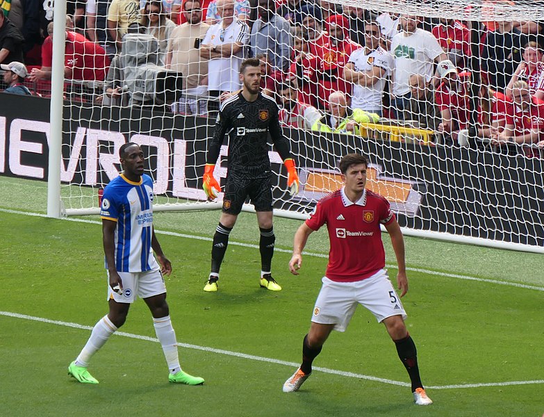 File:Manchester United v Brighton & Hove Albion, 7 August 2022 (09).jpg