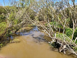 Mangatawhiri (rivière)