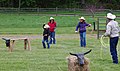 Mark E. Hufeisen Horse Complex (17135755869).jpg