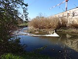 River Olona in Marnate VA