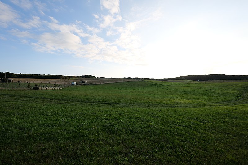 File:Meadow in Hagen Rügen 2021-09-14 01.jpg