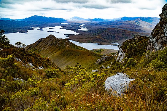 Melaleuca and Celery top Islands from Mt Rugby Photograph: commons:User:RogerPar