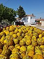 Melon Mancha in Turkey 20170828.jpg