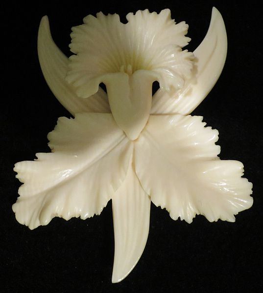 File:Ming's ivory orchid pin.JPG