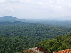 Hilly Landscape in Malappuram