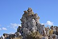 Mono Lake South Tufa Area (2013) 20.JPG