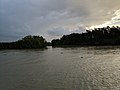 Morning in Sundarbans.jpg