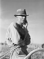 Jack Delano. Mr. W. H. Holmes, a renter on the Wray place, plowing sweet potatoes, Greene County, Georgia. November 1941.