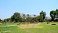 Municipal Garden, Shahada