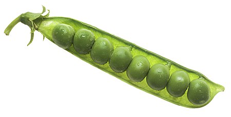 Tập_tin:NCI_peas_in_pod.jpg