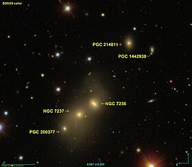 Image illustrative de l’article NGC 7237