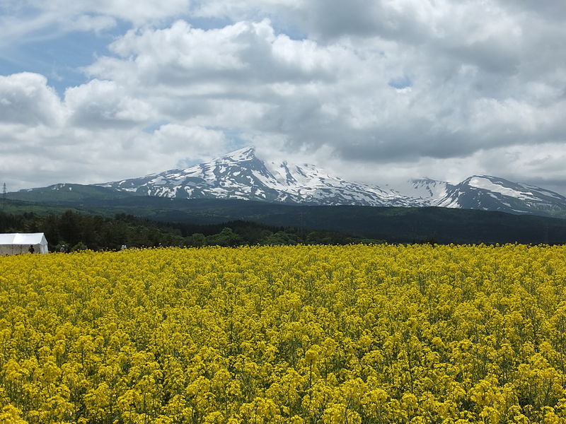 Mt Chokai Pop Japan