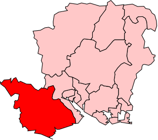 <span class="mw-page-title-main">New Forest (UK Parliament constituency)</span>