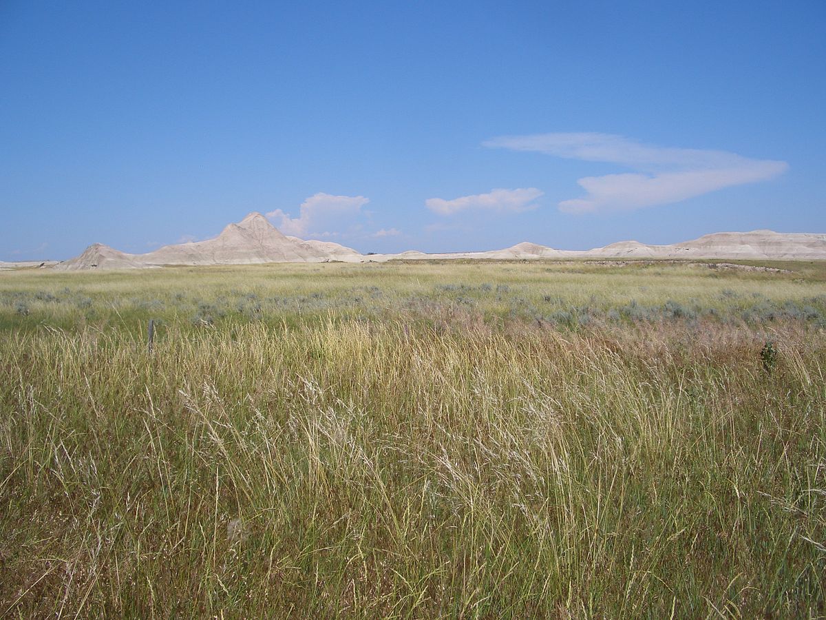 Black Kettle National Grassland - Wikipedia